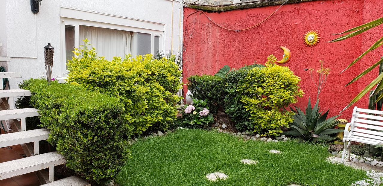 Anys Hostal Mexico City Ngoại thất bức ảnh